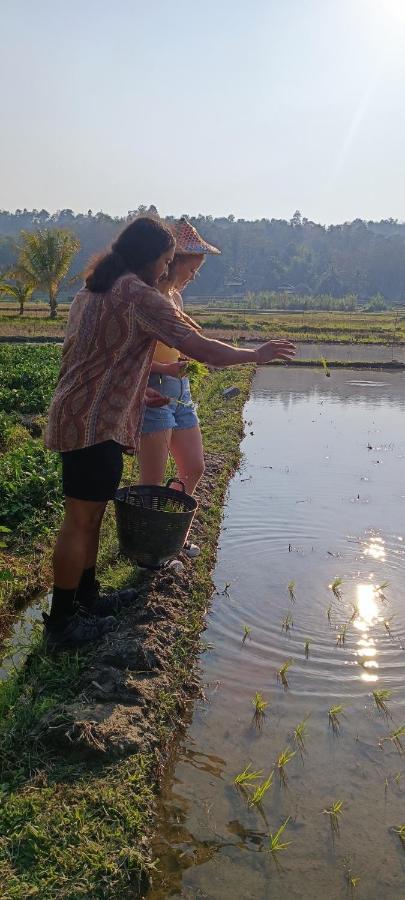 Kaewma Farmstay Khuang Kom Exterior photo