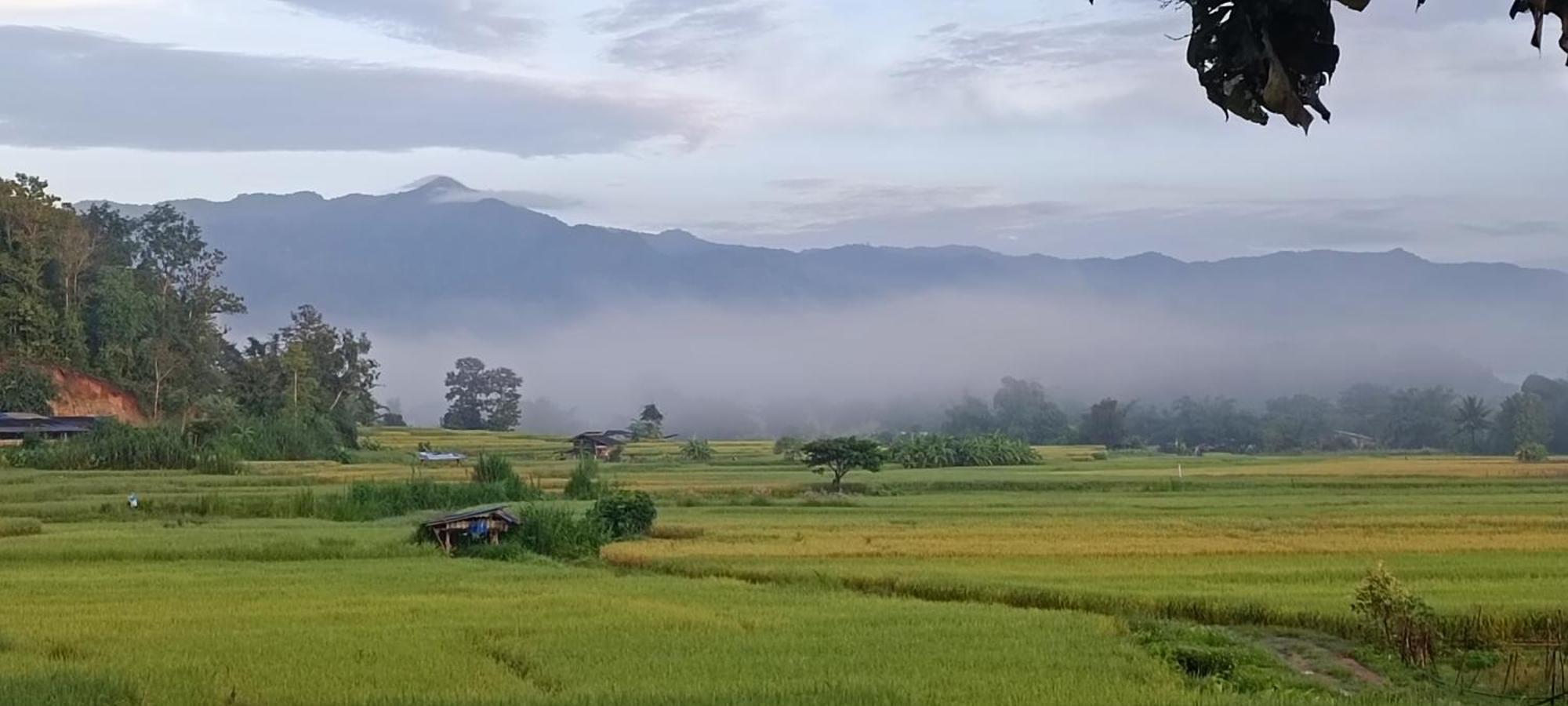 Kaewma Farmstay Khuang Kom Exterior photo